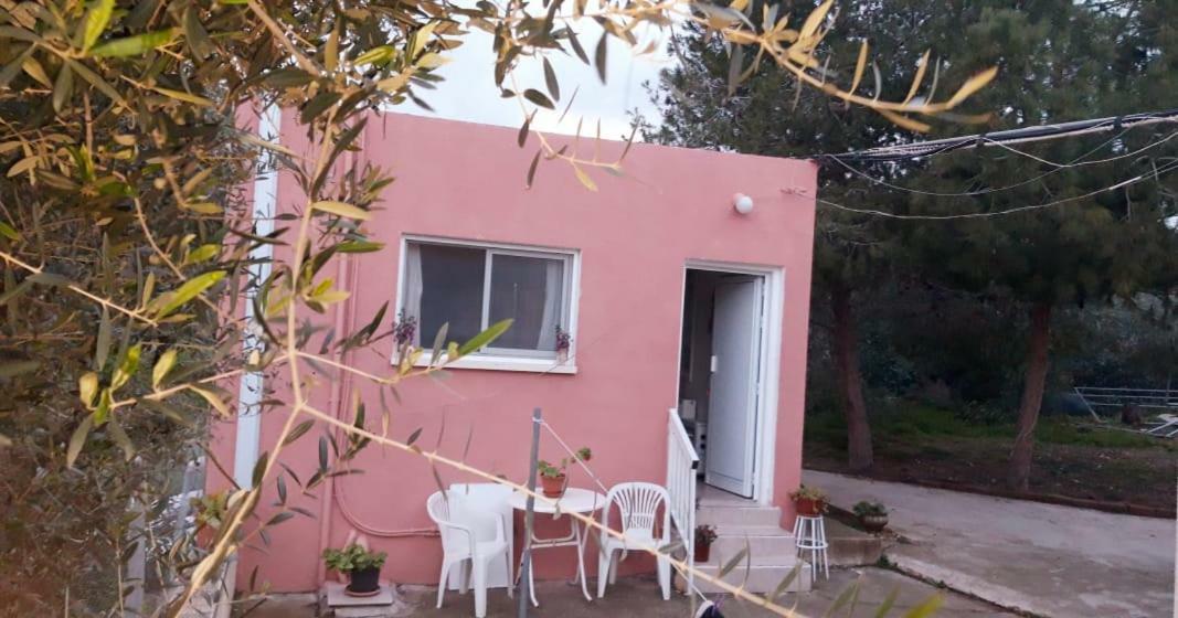 Detached Cozy Studio Paralimni Exterior foto